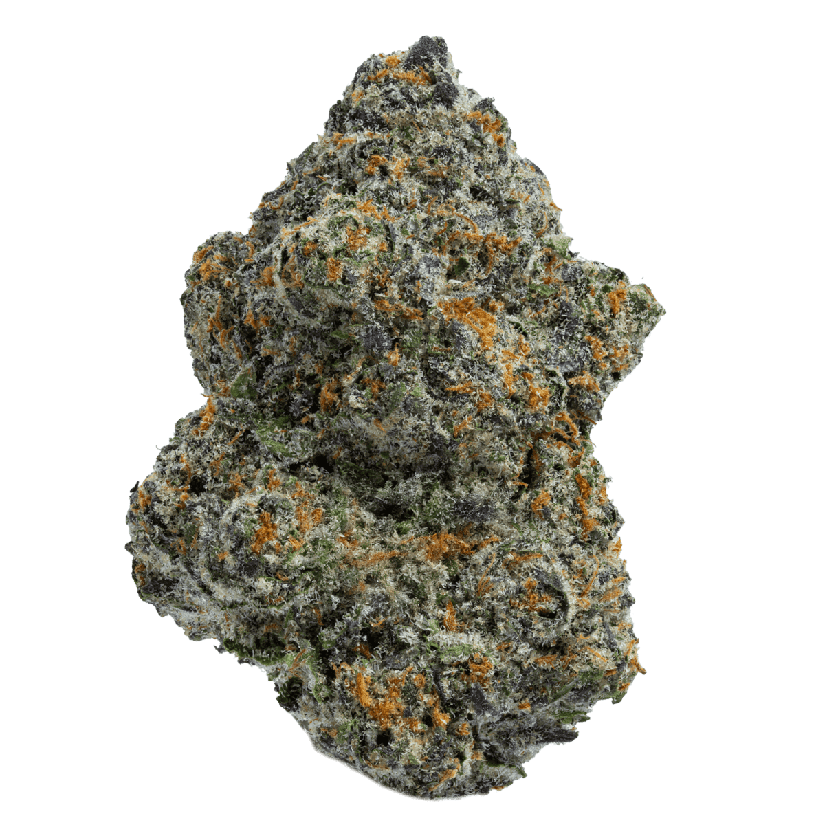 Backdoor Gelato | 28g