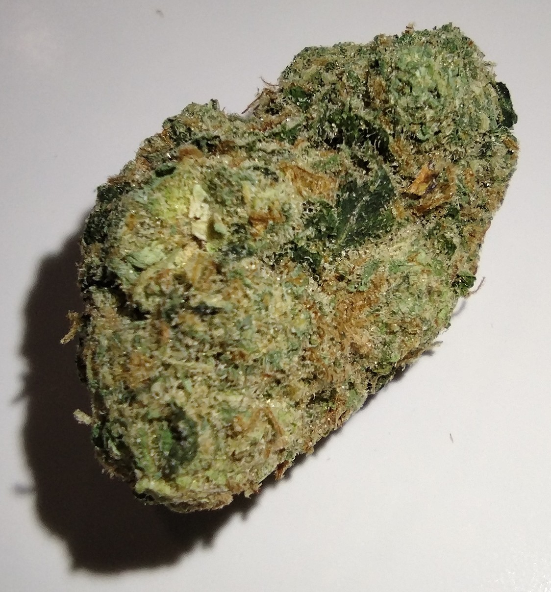 605 Cannabis - Animals XJ-13 - 3.5g - Flower