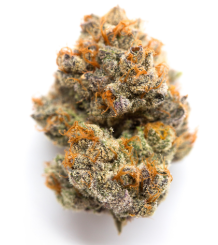 Zips | Star Killer | 1oz (28g)