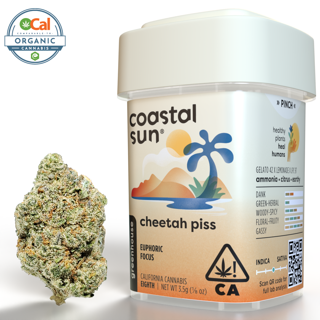 Coastal Sun Cannabis: Cheetah Piss