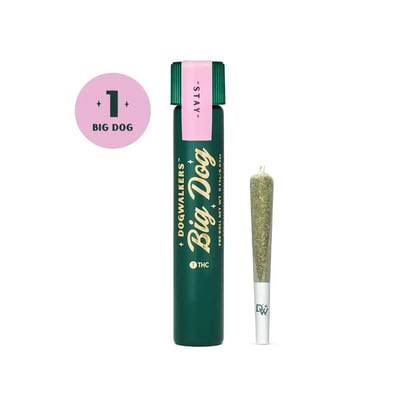 Dogwalkers Big Dog | 95 Cookies (Hybrid)