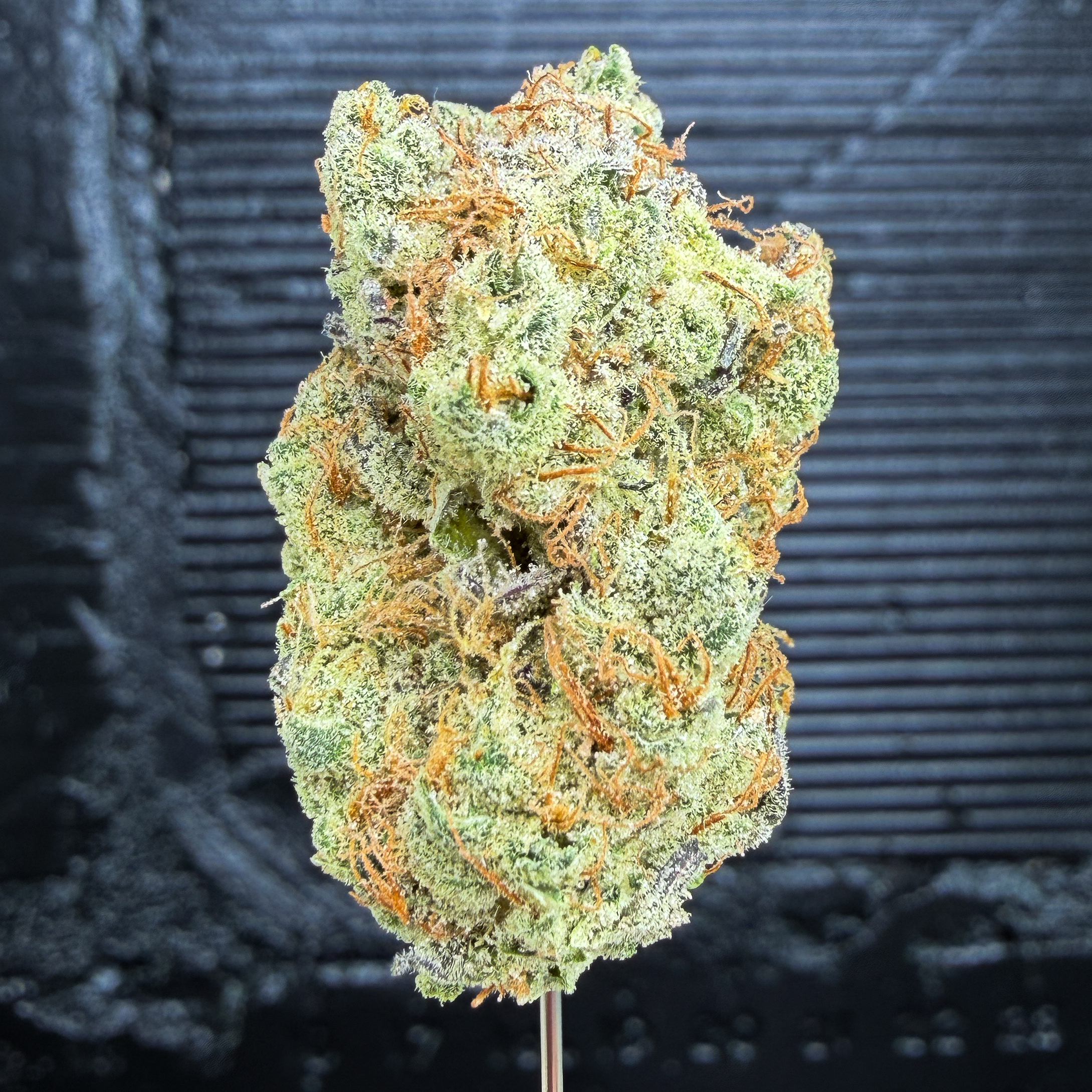 VA Afghani