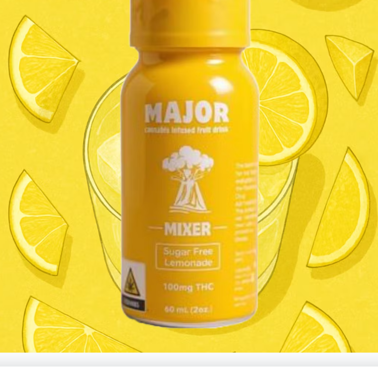 Sugar Free Lemonade  Fast Acting Shot  (2oz)