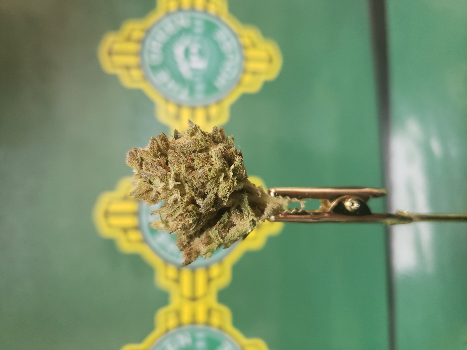 Cheese X Diesel - (S)