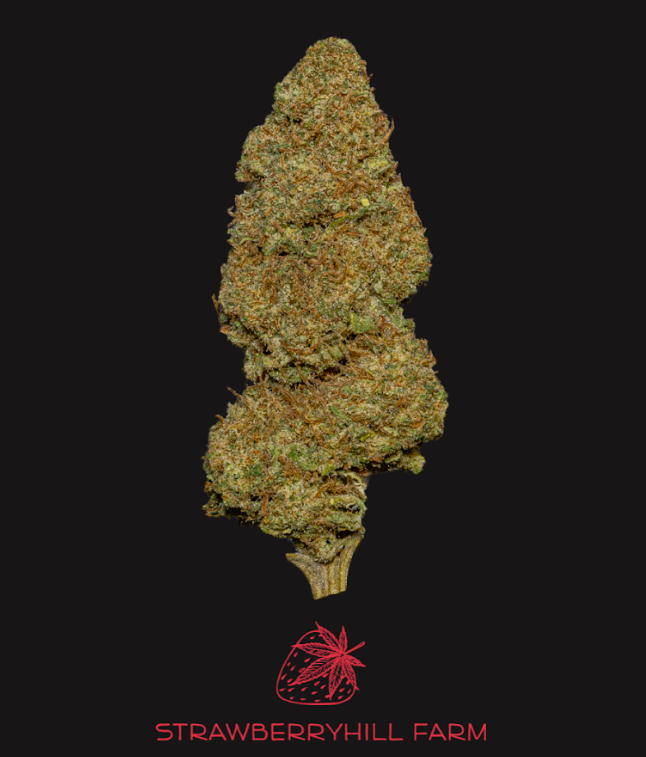 Hemp Flower | Sour Lifter | 3.5g