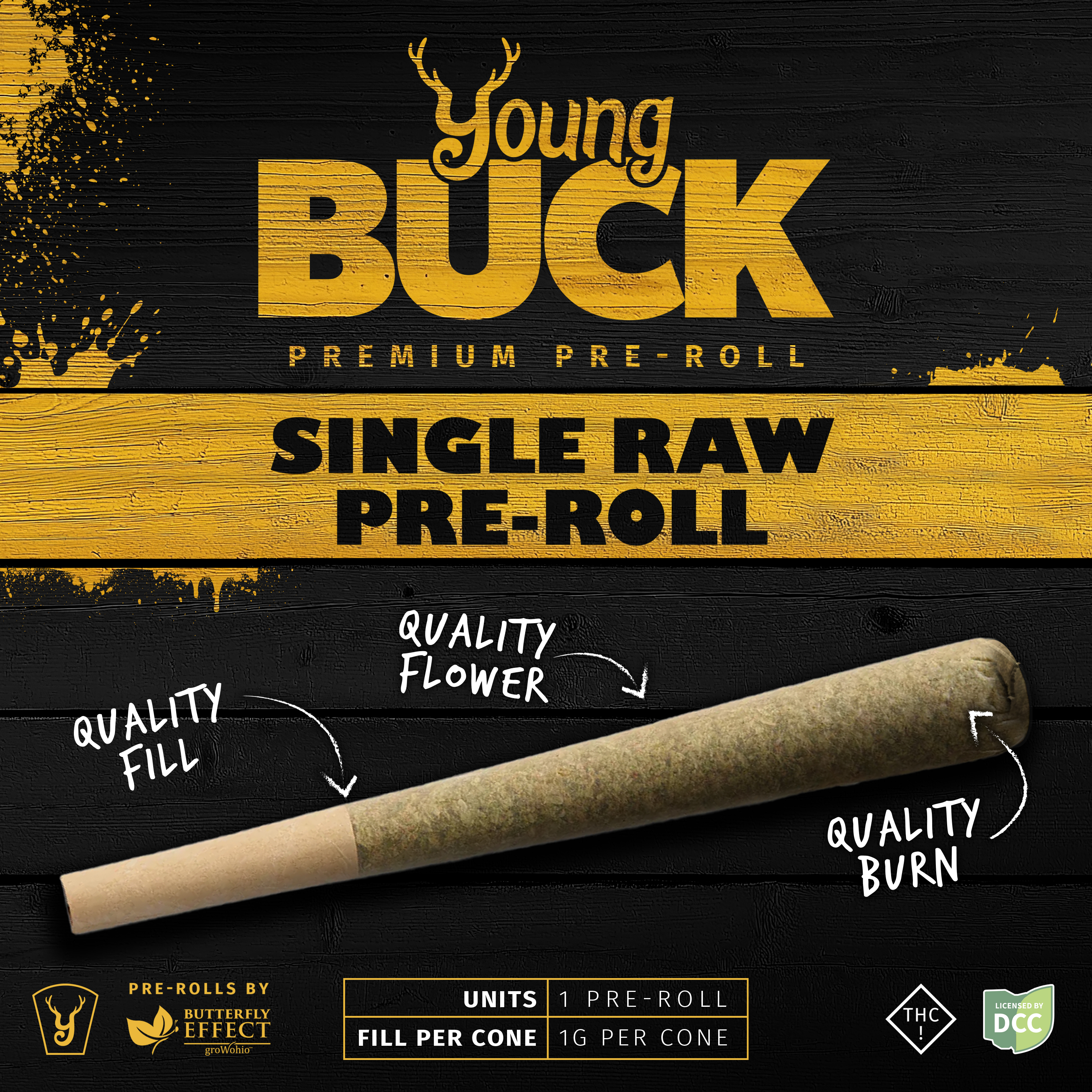 Aloha Lion Pre Roll
