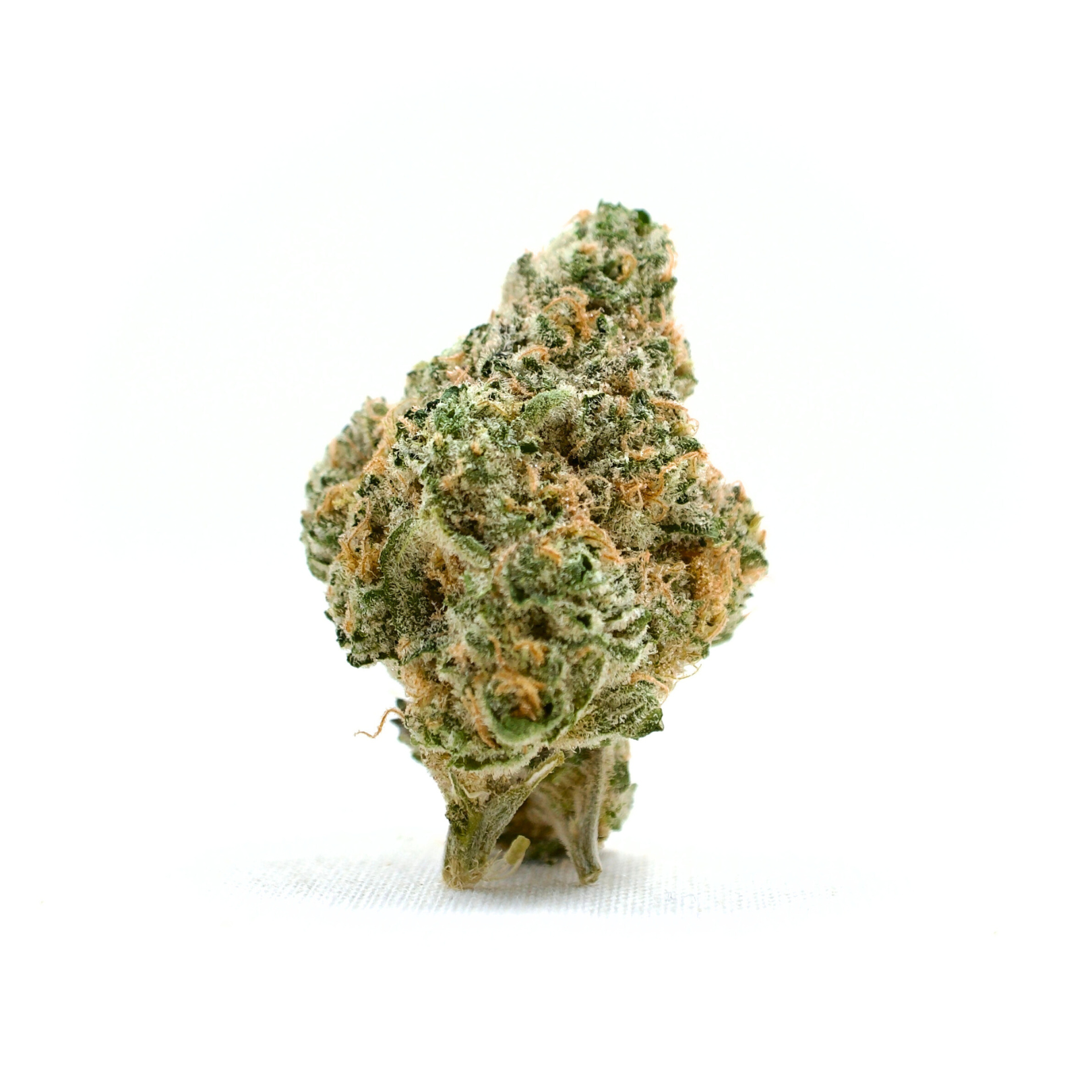 Cheddar Cheeze | TAC: 30.9%