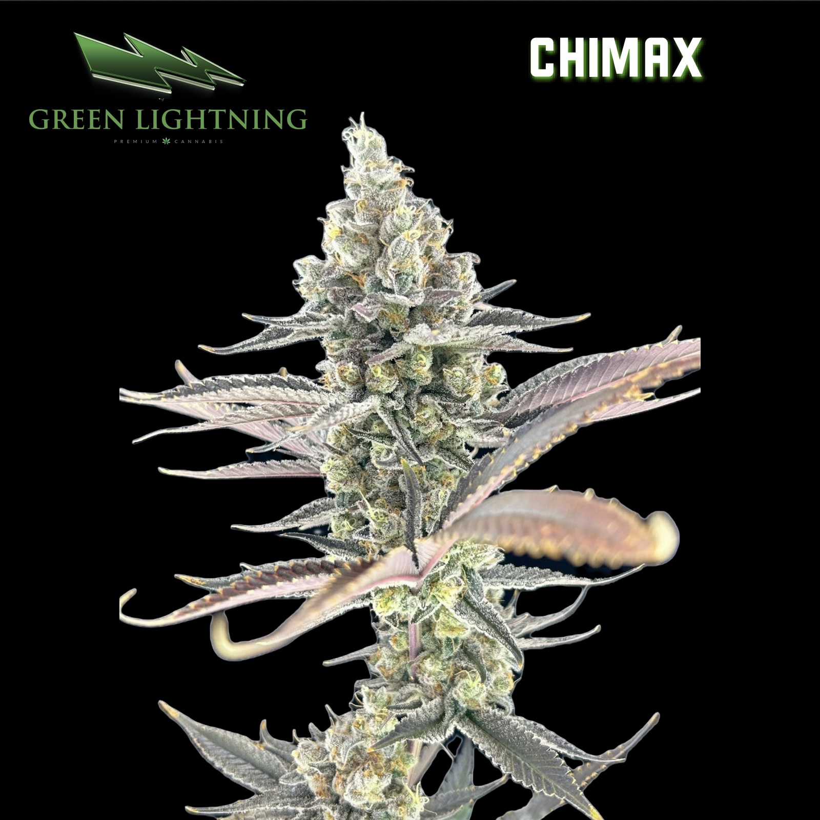 Chimax