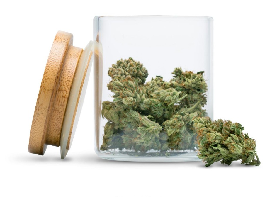 The Botanist | Sherbanger | Flower