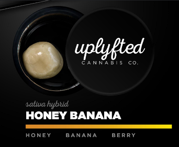 Uplyfted Honey Banana Live Rosin