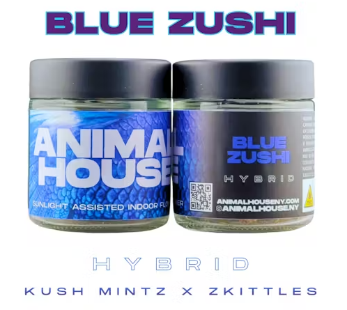 Animal House Flower - Blue Zushi