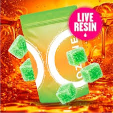 Guava Kiwi | Full Spectrum Live Resin Gummies | 100mg