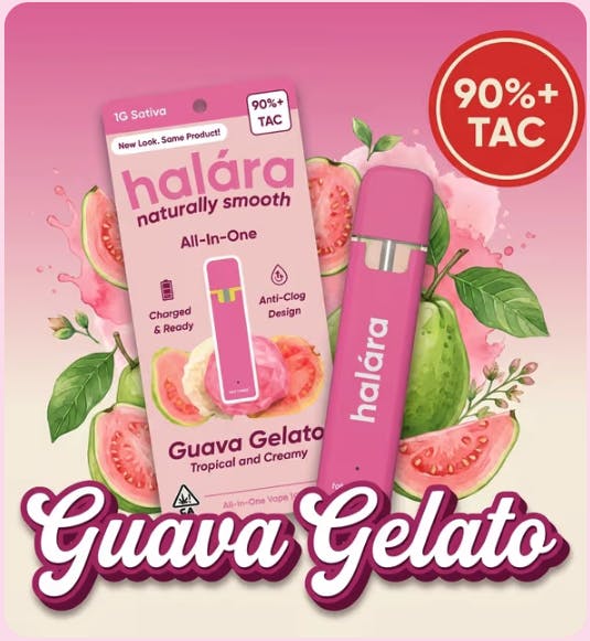 1g Guava Gelato All-in-One High THC