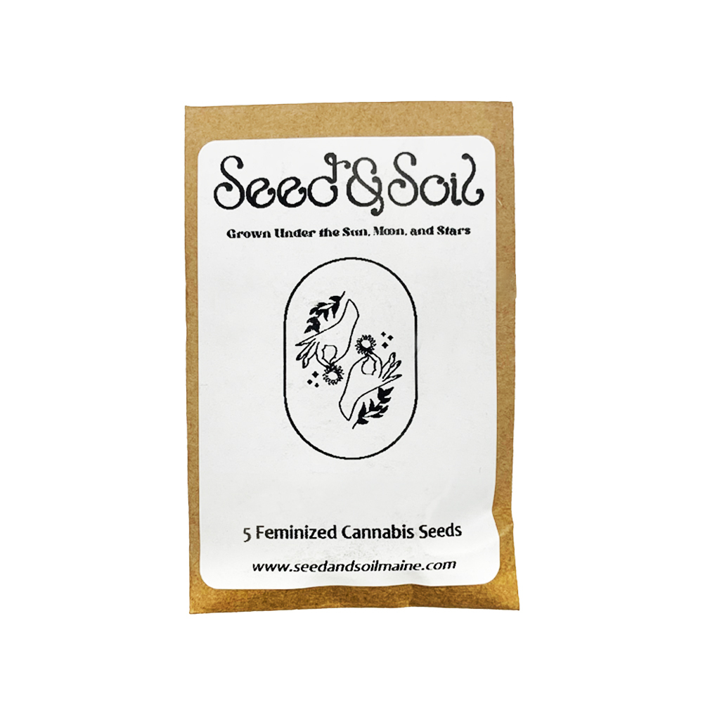 Package Dankincense 5pk