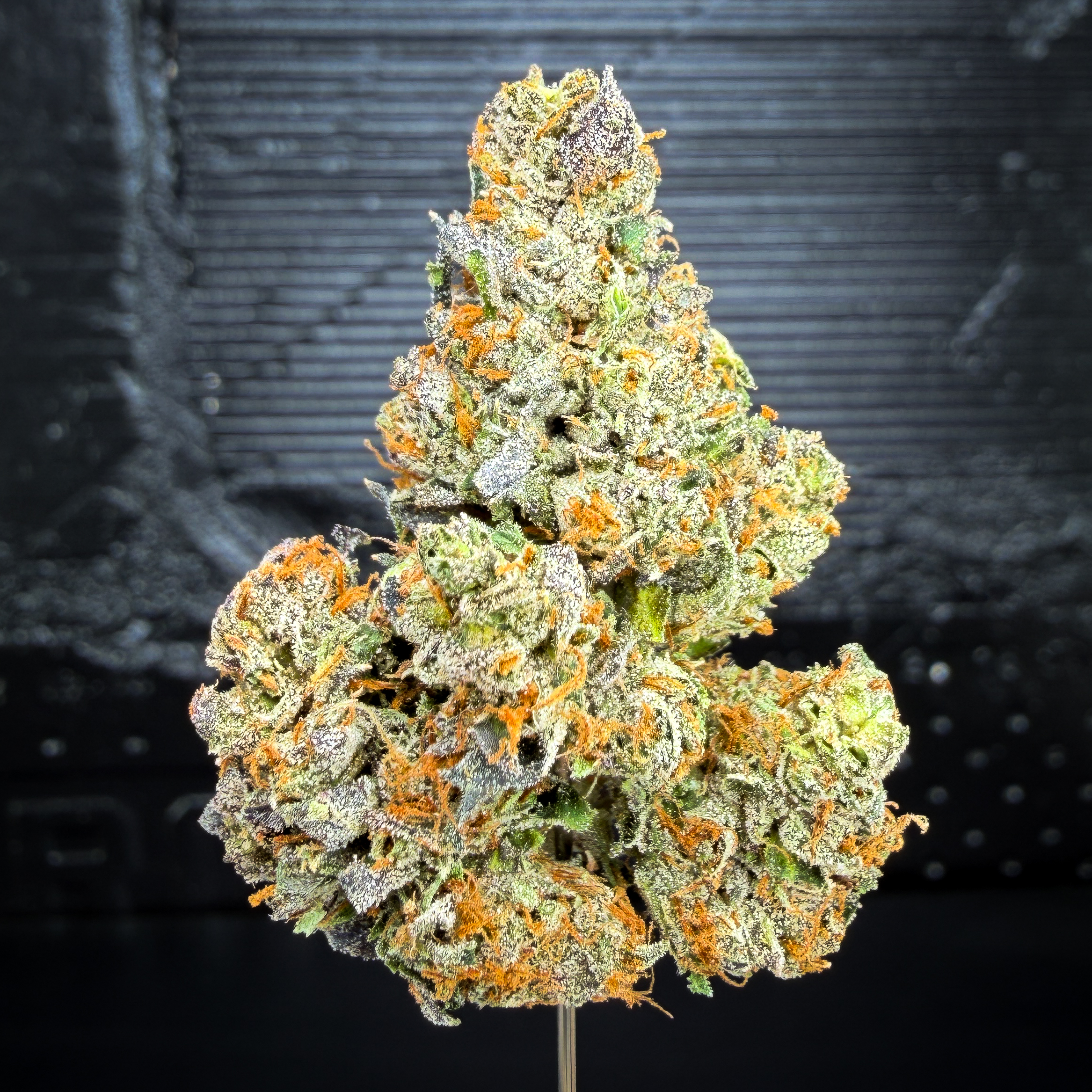 Big House Og