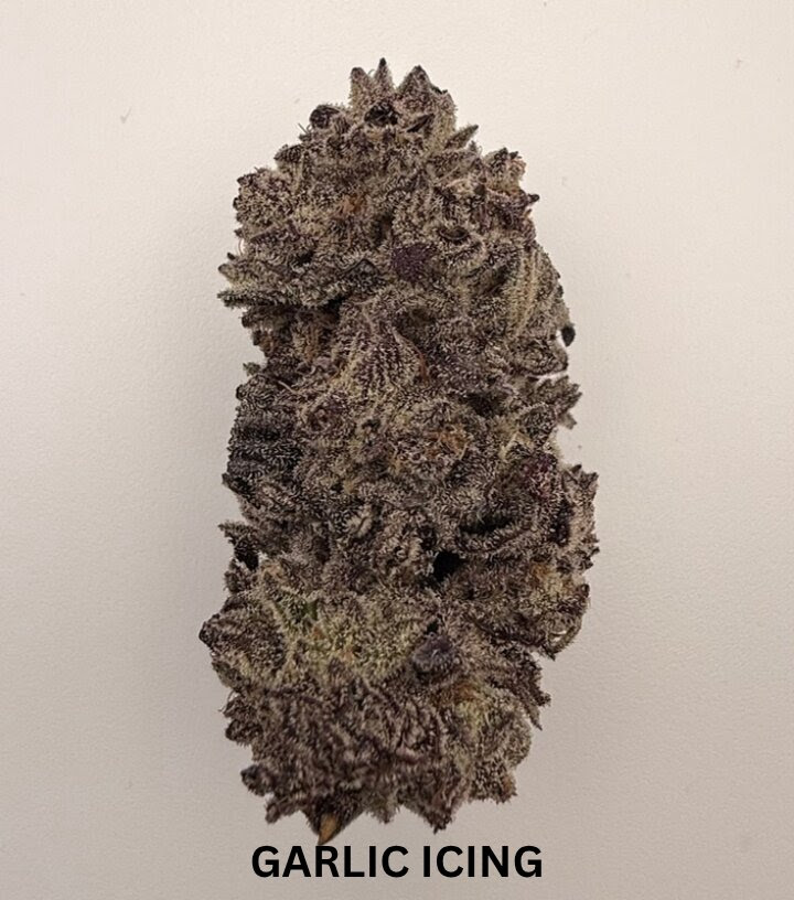 Battenkill Buds | Garlic Icing | 3.5g
