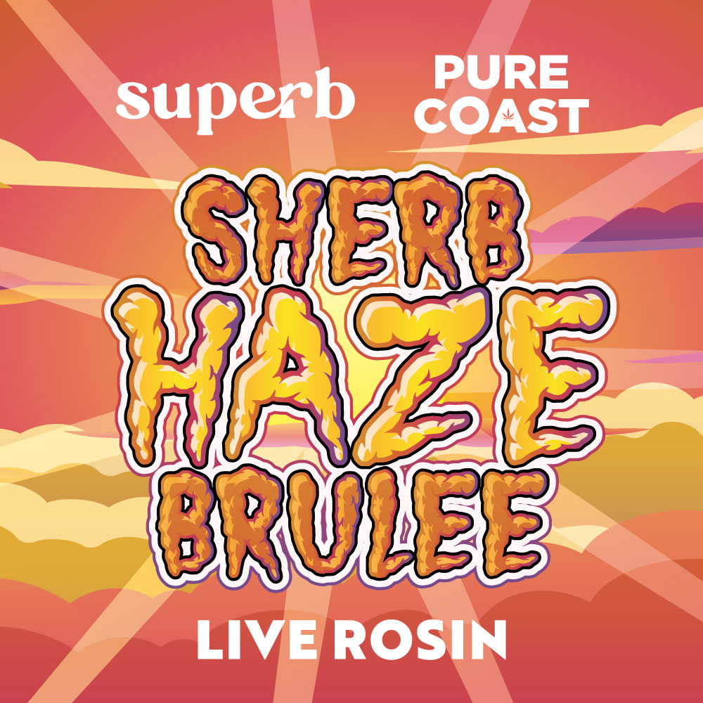 Superb | Sherb Haze Brûlée | Bulk Rosin | Purple Tier