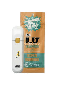 WannaJive | Tropical Trainwreck | Live Resin | Duet | AIO | 1g by WannaJive - vapes cannabis product
