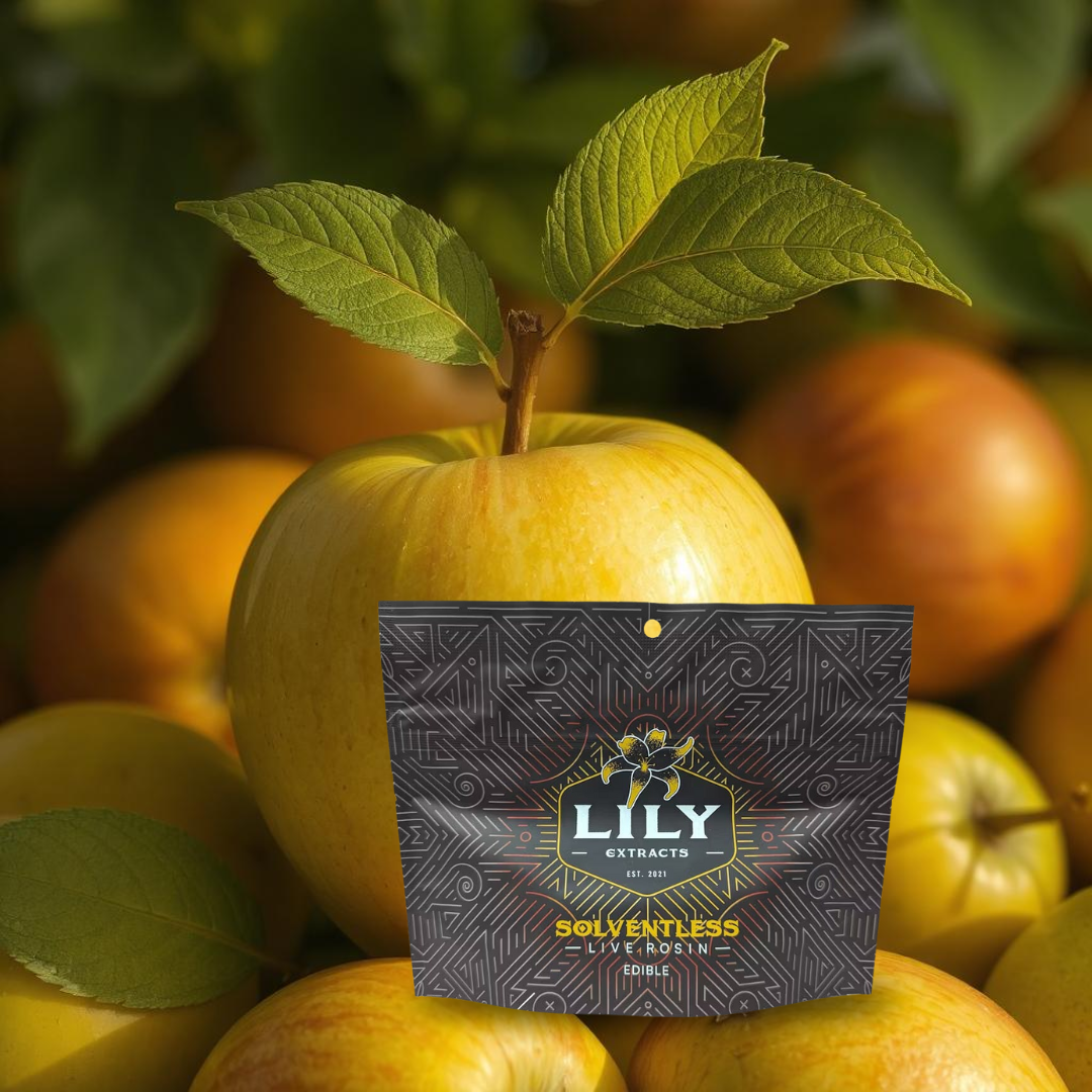 Lily Extracts-SOUR APPLE 4 DAZE 100MG PECTIN CHEWS