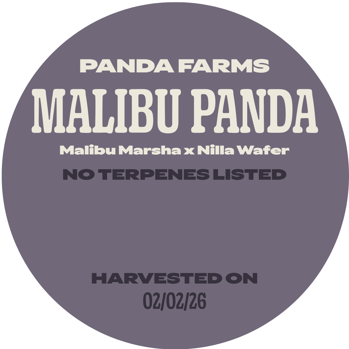 Panda Farms | Malibu Panda - Flower