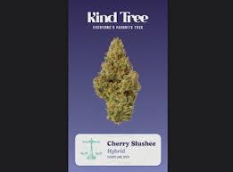 Flower | Cherry Slushie | Hybrid - 3.5G