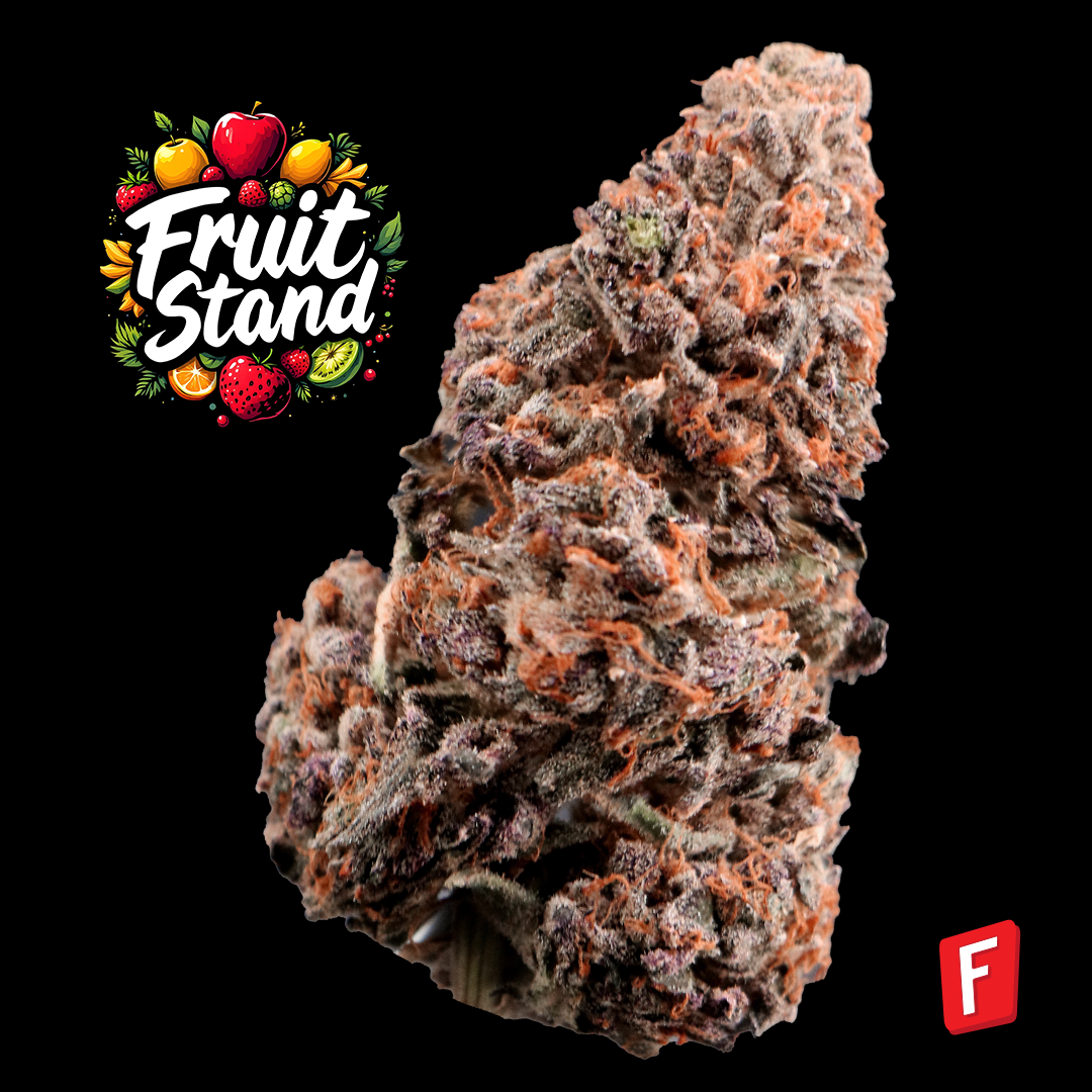 Stand In House Bulk Flower