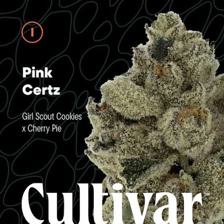 Pink Certz - 14g - Cultivar Collection