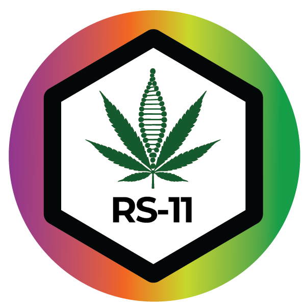 RS-11 | Flower | 3.5g