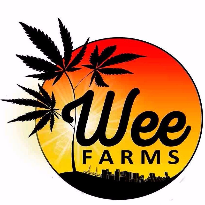 Jack Herer Cured Resin All