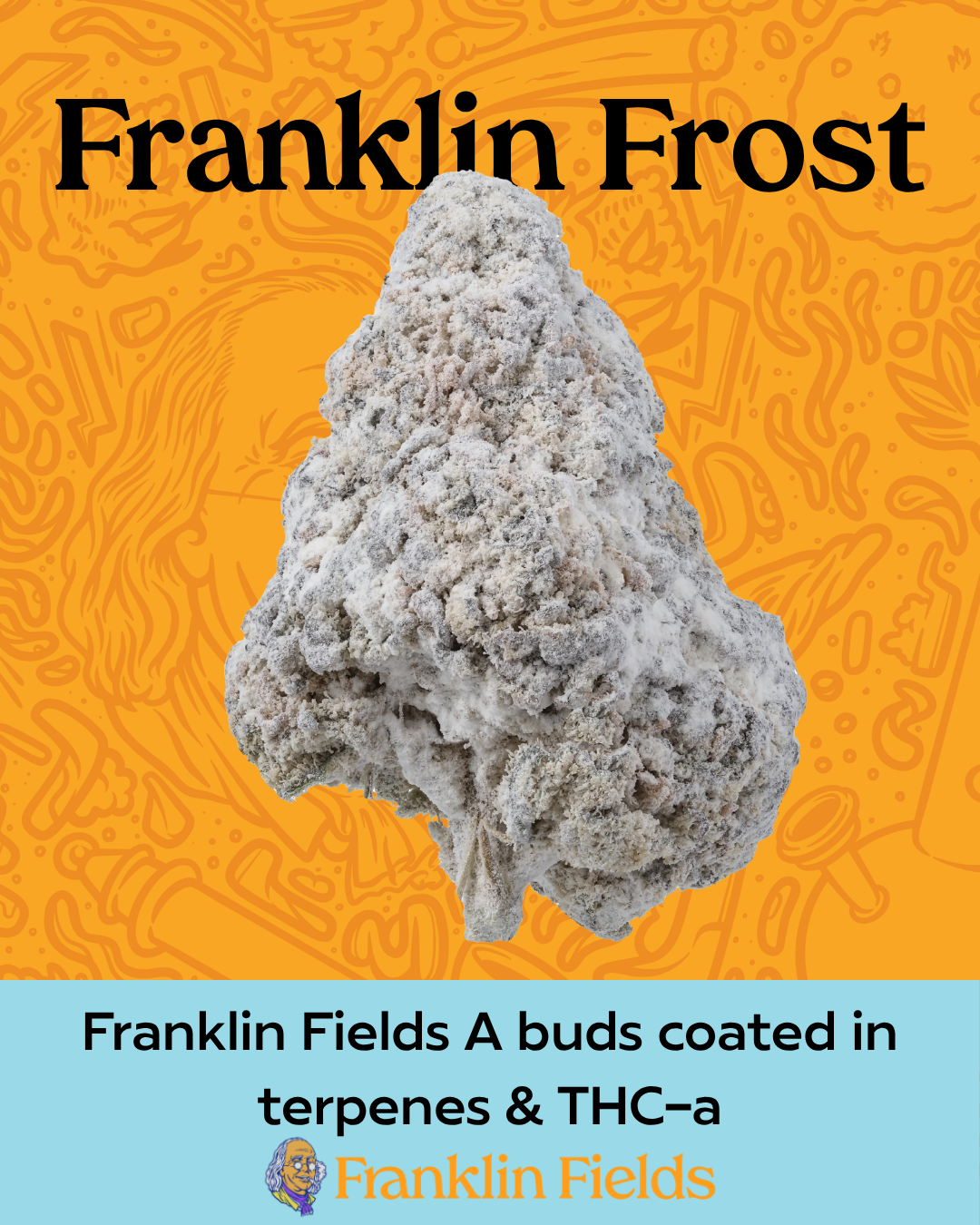 Frosted Buds Blueberry Cookie