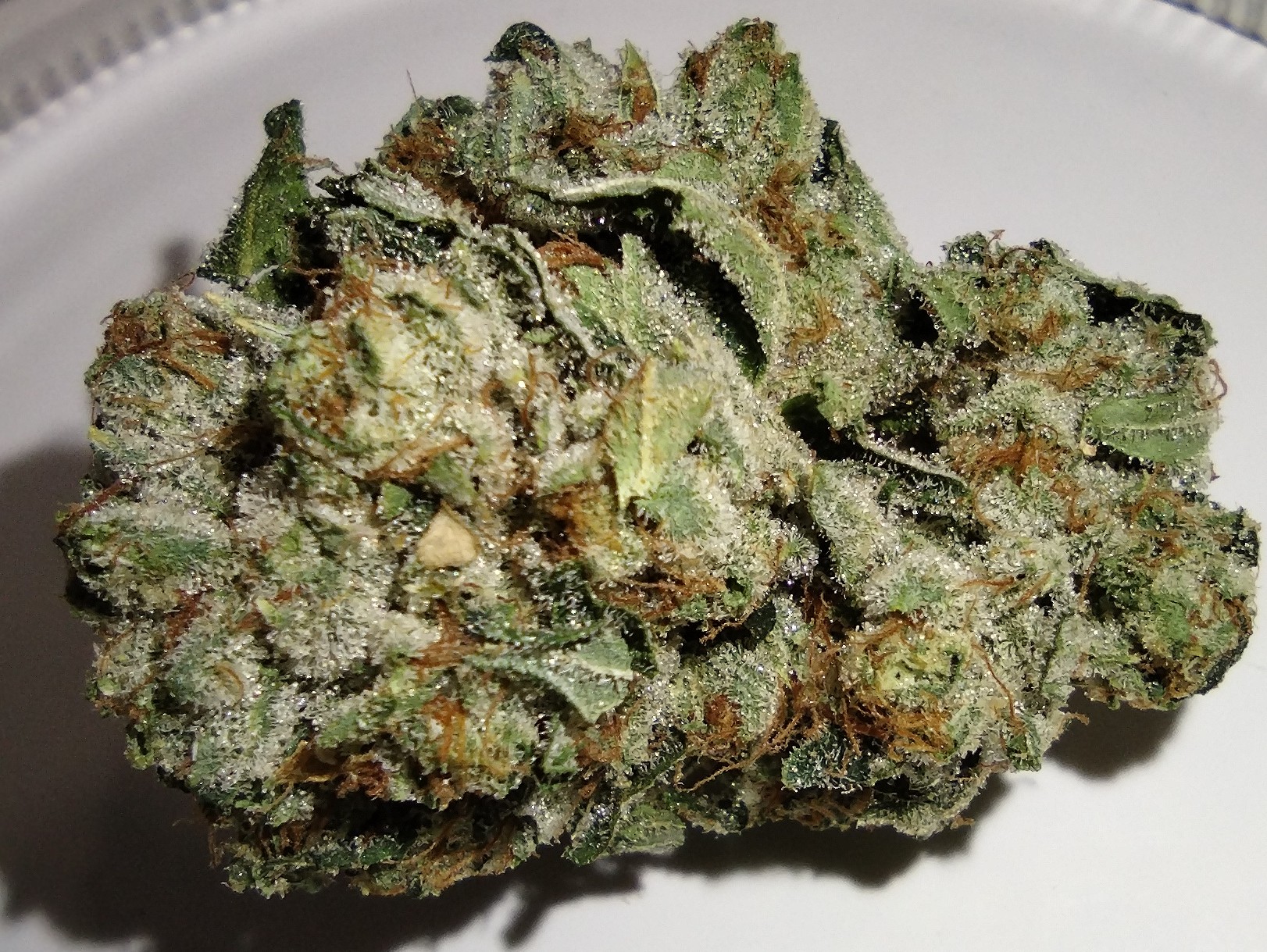 Dakota Natural Growers - French Toast - 3.5g - Flower