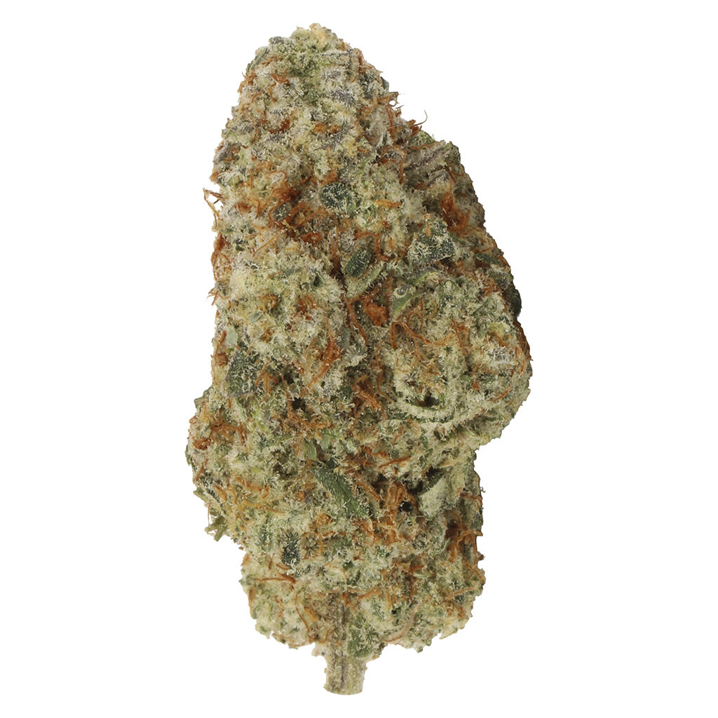 Carmel - Myrtle Beach (Malibu x Cap Junky) - Indica - 2.78% TERPS!!