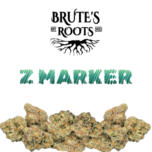 Flower - Z Marker - Brute's Roots - REC