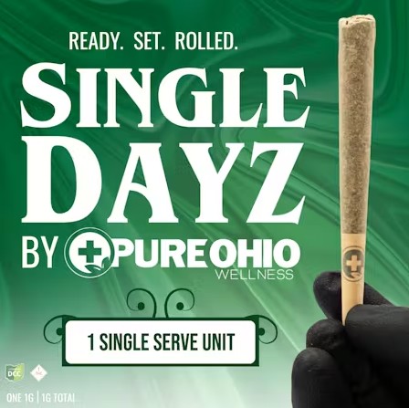 Jokerz Pre Roll