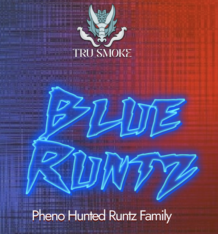 TruSmoke | Blue Runtz | 1g Straight Sided Pre-Roll