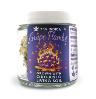 Grape Flambe