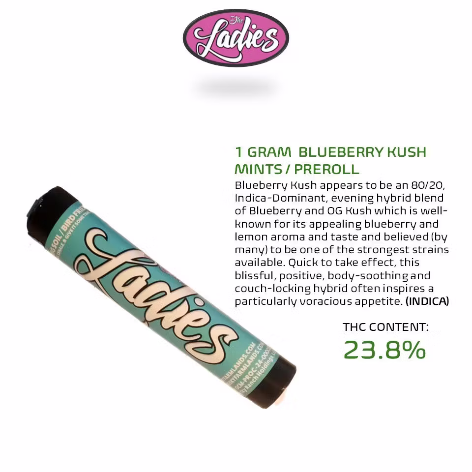 Blueberry Kush Mints | Pre-Rolls | 2pk | 1g