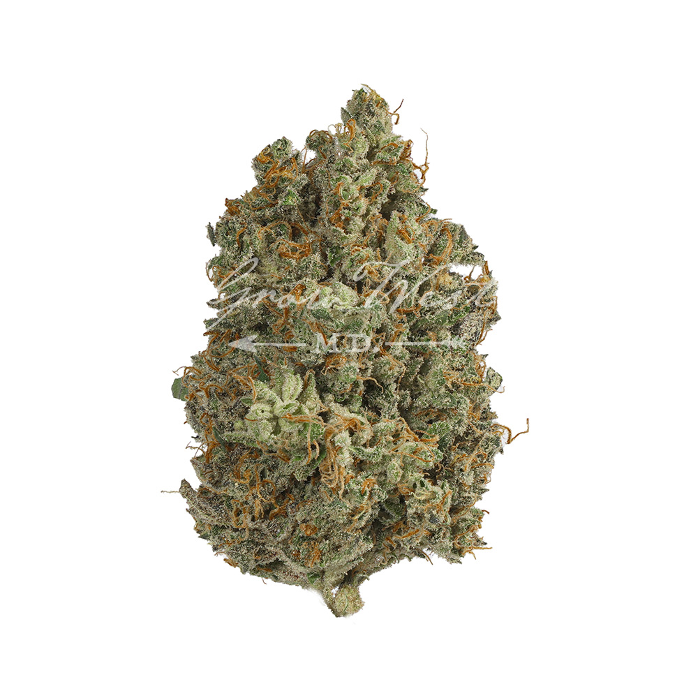 MK Ultra Black Ops | Gold | Trimmed Flower