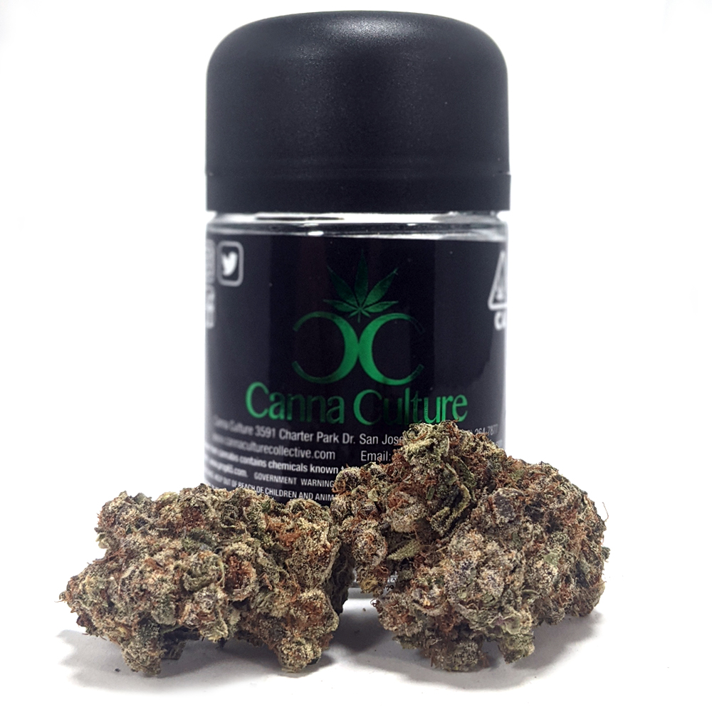 Canna Culture — Mango Mintality
