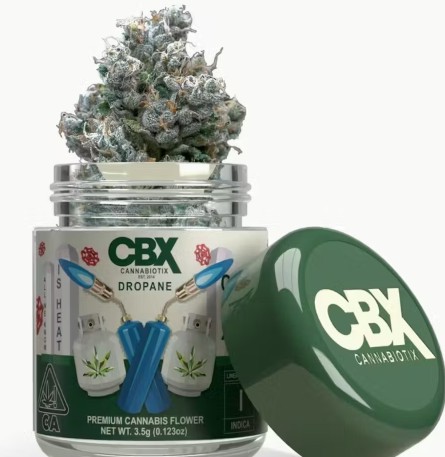 Cannabiotix — Jar - Dropane