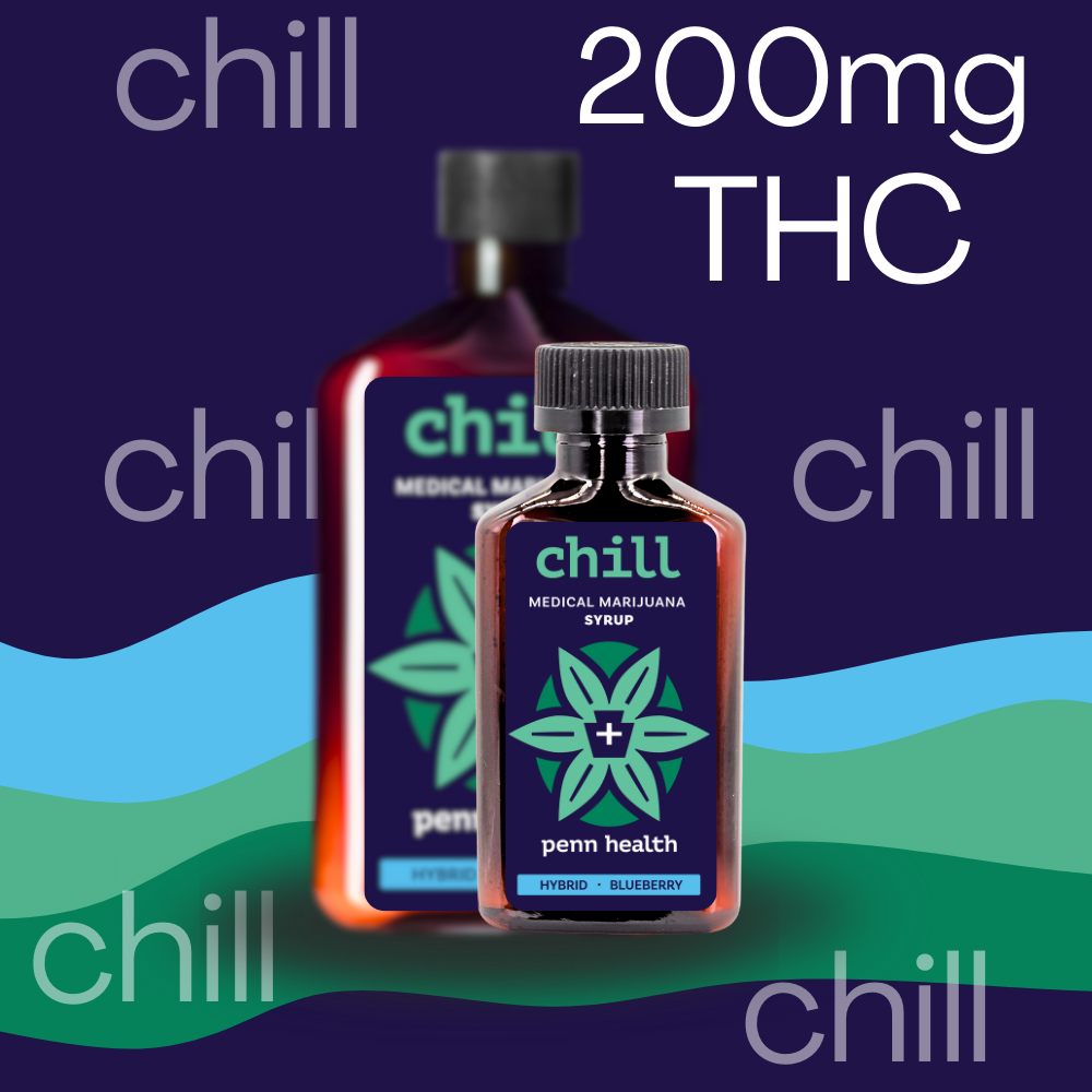 Blueberry Mini Chill Syrup 100ml