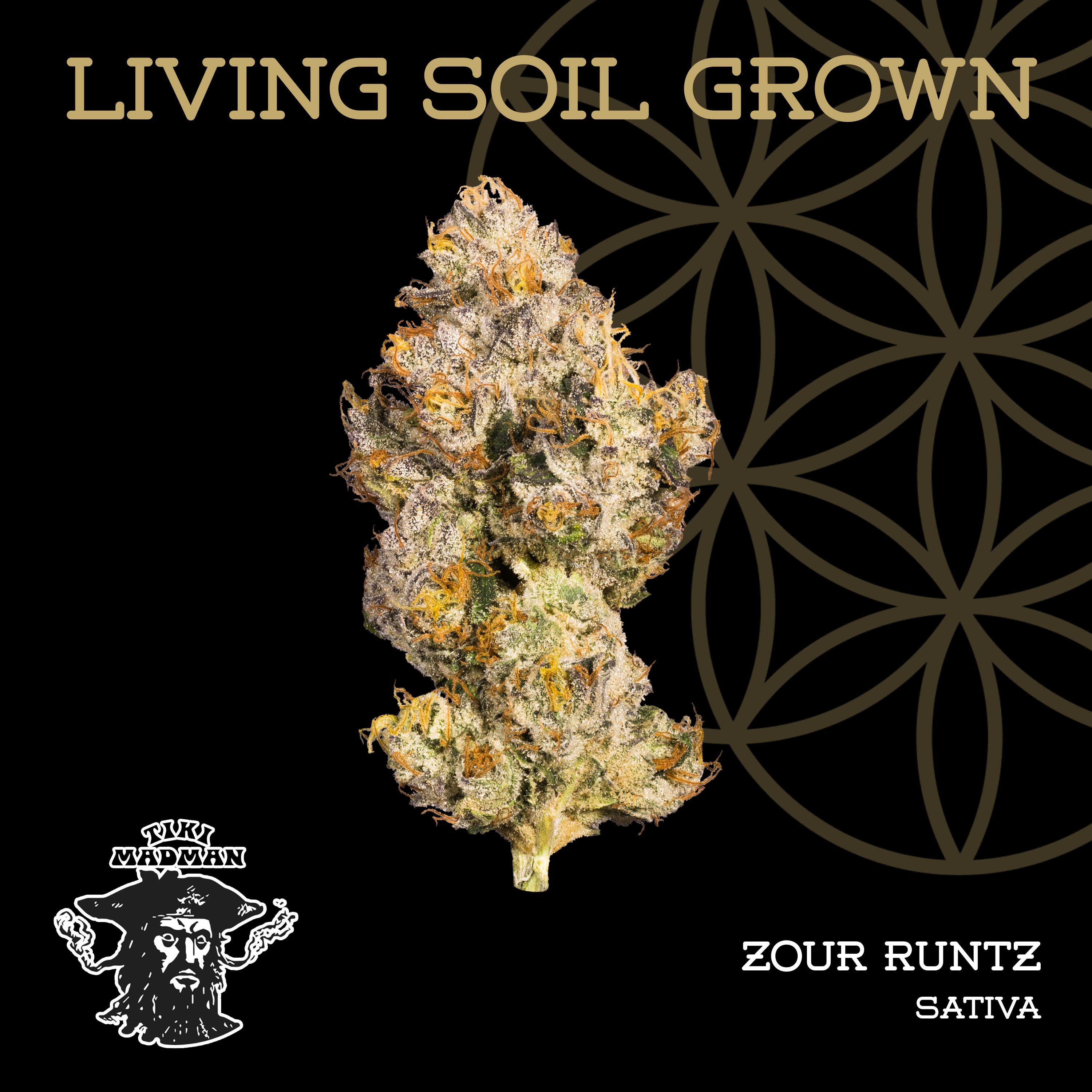 Living Soil | Zour Runtz | Bulk Deli