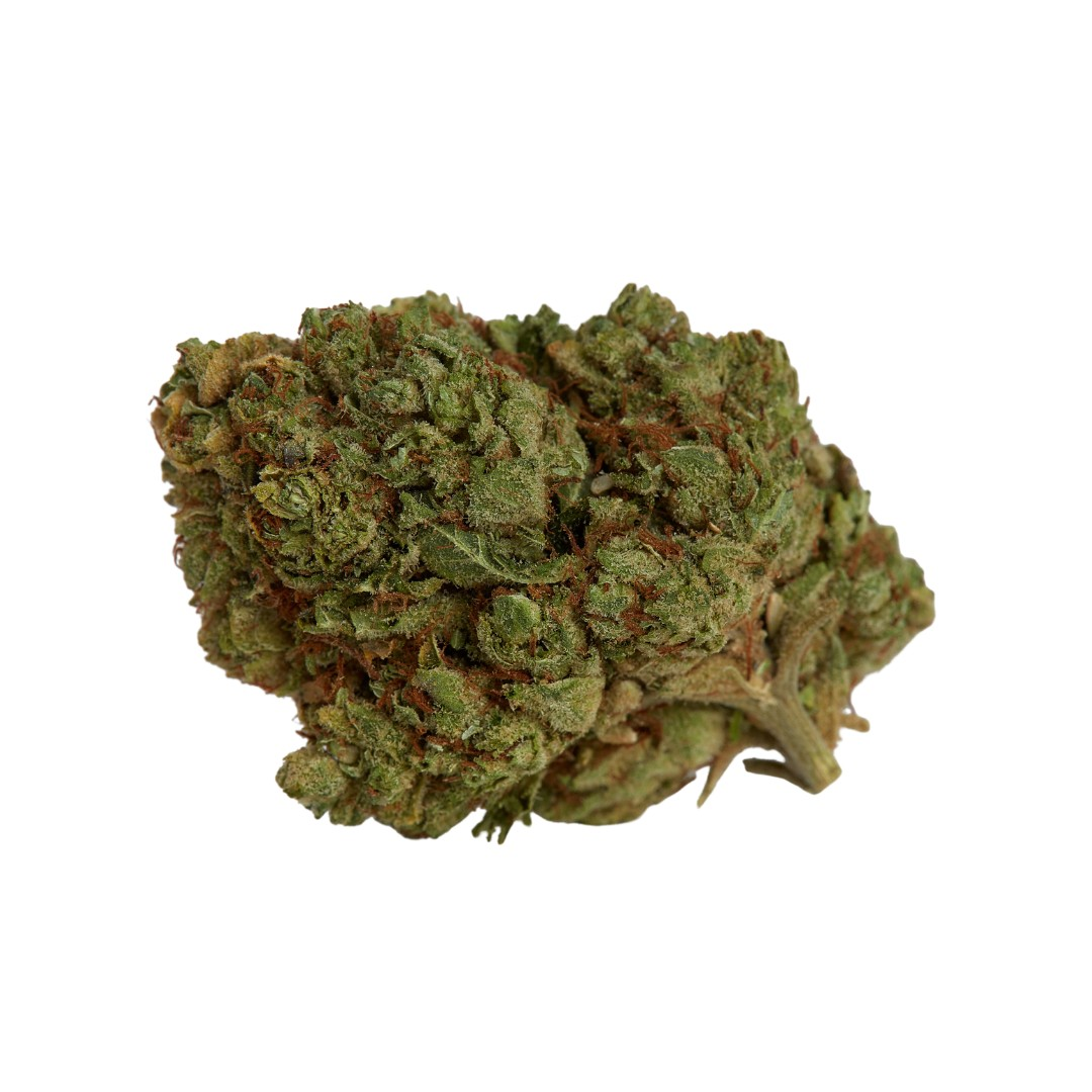 Anthologie Flower - Underground Tangie