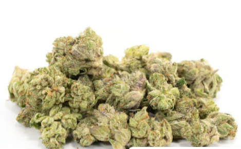 Blue Dream Bulk Flower