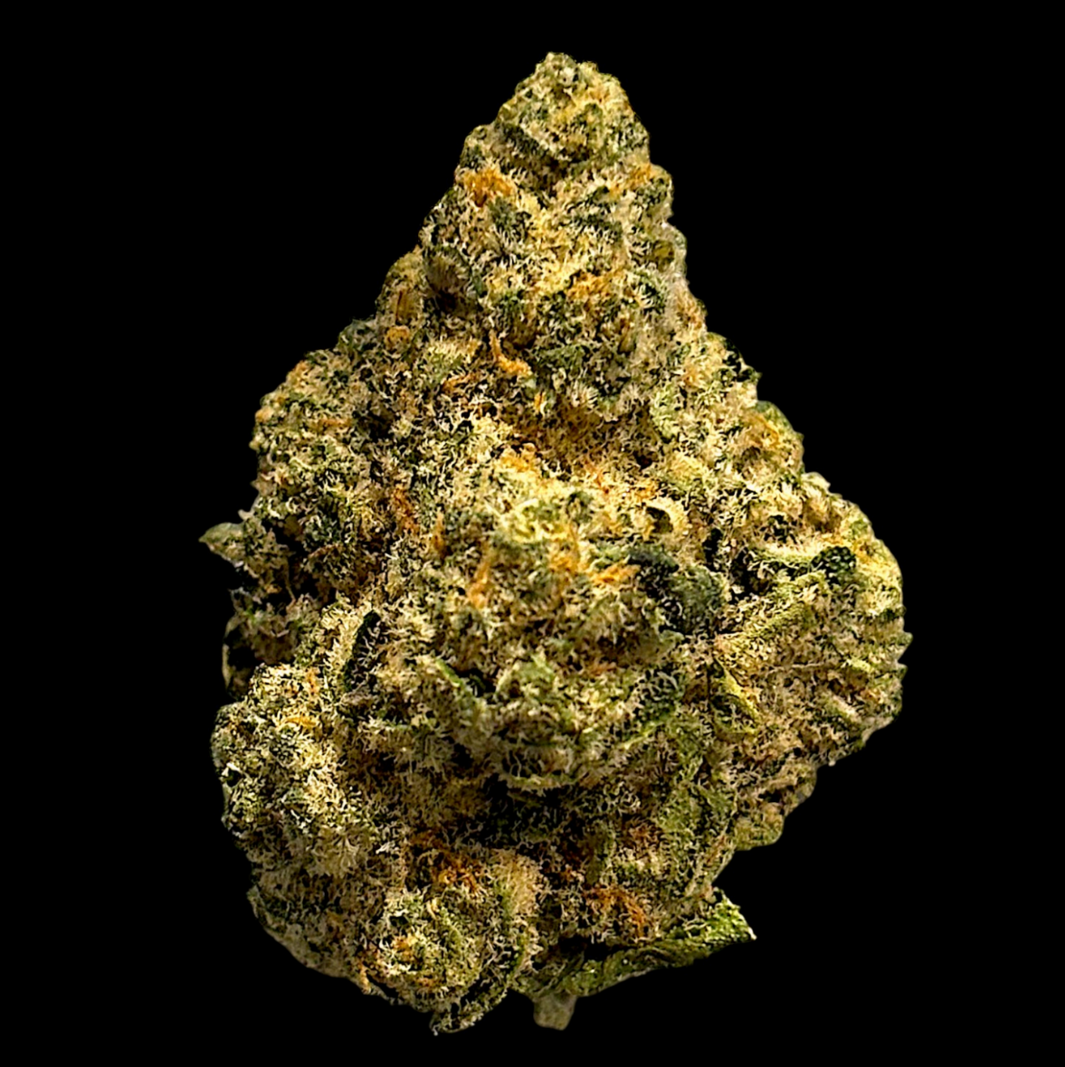 Apollo | Scotties Cake | Flower | 3.5g