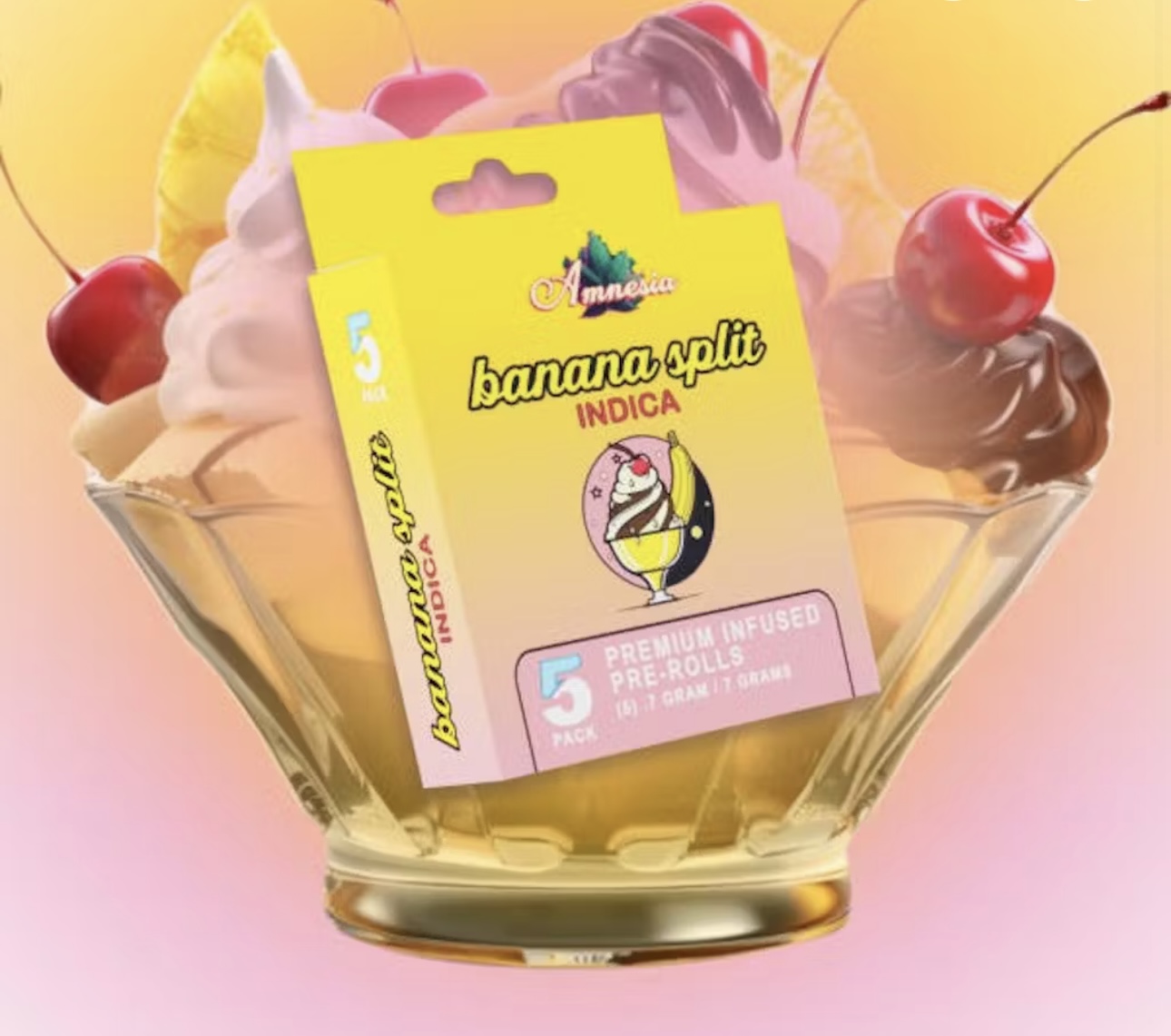 Amnesia: Banana Split 5 Pack Bubble Hash Infused Prerolls (5x0.7g)