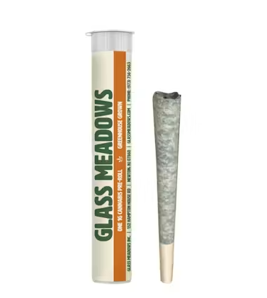 Glass Meadows - Papaya Crush - Cone