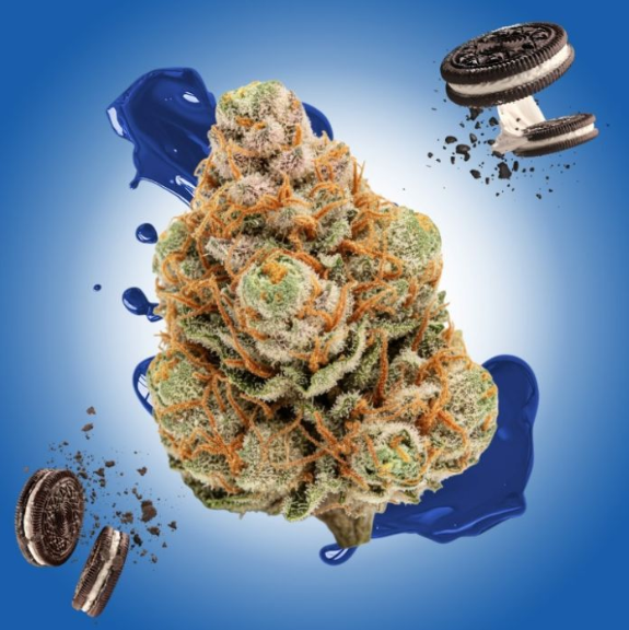 CURIO Oreoz 3.5g