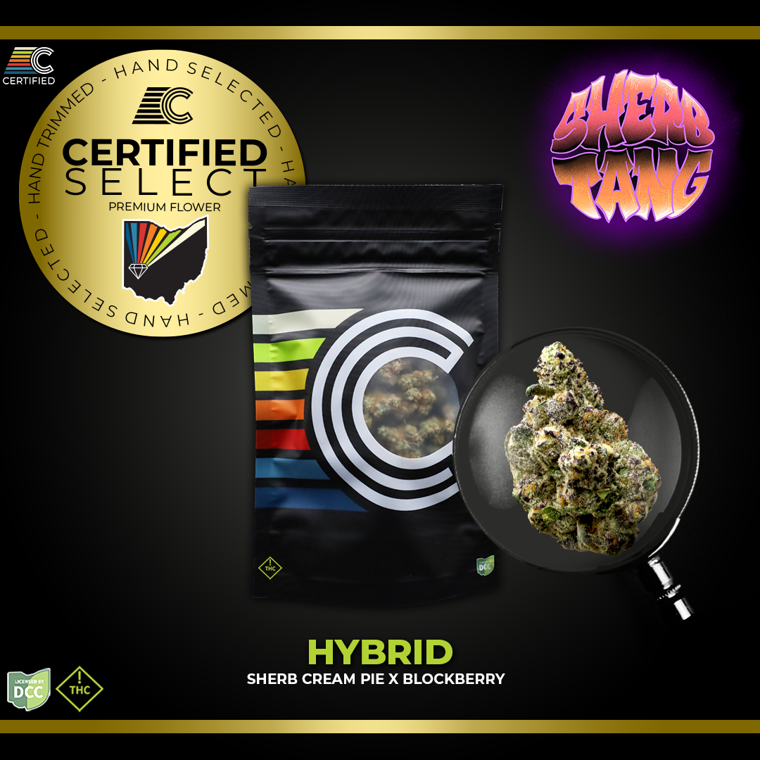 Sherbtang #1 - Select | 14.15g Premium