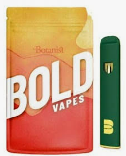 Bold Orange Cream